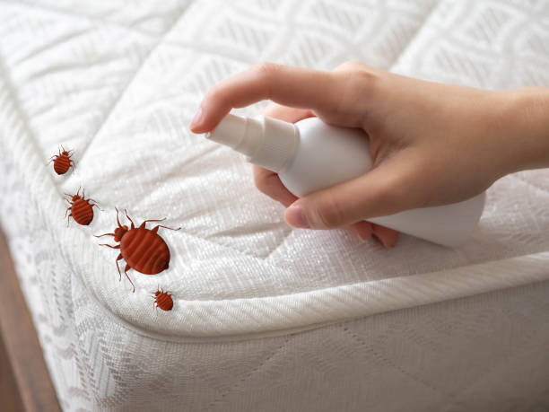 Best Emergency Pest Control  in Lyndhurst, OH